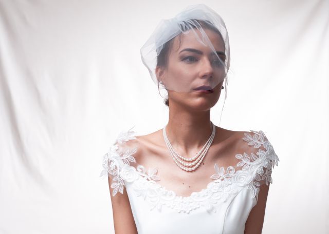 simple birdcage veil